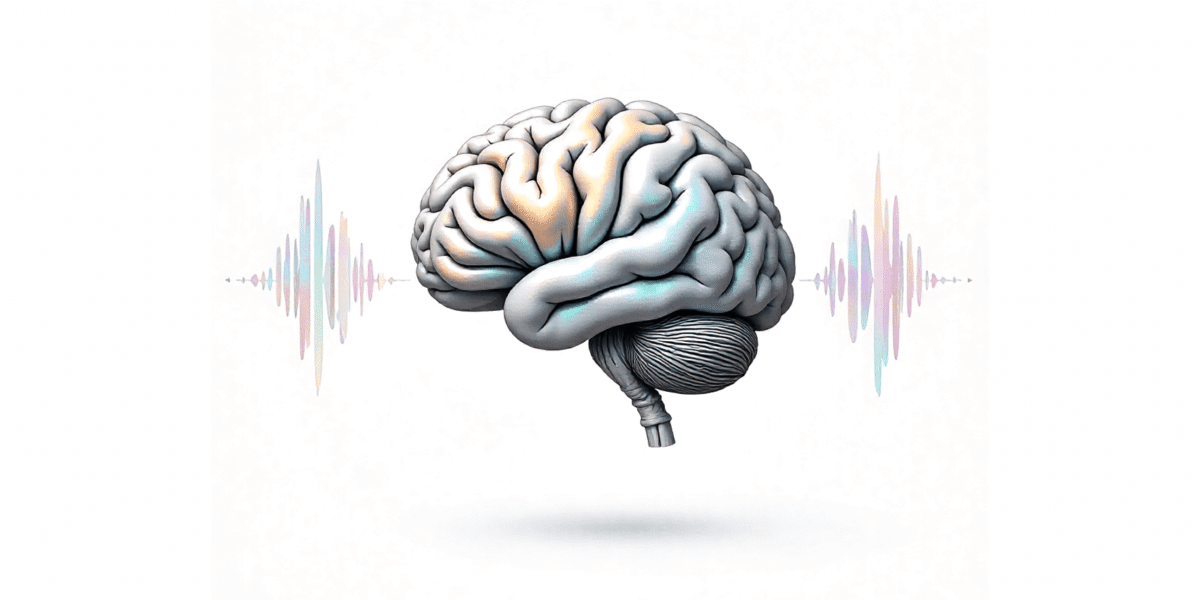 Imagen destacada de Comunico, luego existo